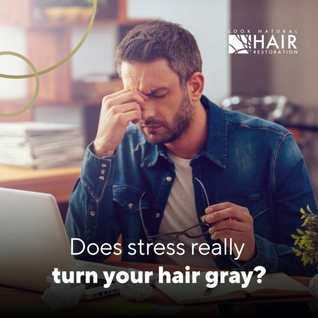 Today is National Stress Awareness Day, so we thought we'd answer an important question: 

Does stress really turn your hair gray?

There was a recent study done on mice that demonstrated a link between stress and their hair turning gray, but there’s only one issue: they were mice, not humans.

Bottom line: there’s a lot more research that needs to be done before we can answer this question for certain. In the meantime, if you’ve got questions call Dr. Ross to have them answered.

https://looknaturalhairrestoration.com/everything-you-need-to-know-about-stress-and-hair-loss/

#nationalstressawarenessday #stress #hairloss #grayhair #hairtransplant #wellbeing #greyhairdontcare #hairlosssolution #hairlosstreatment #hairlosshelp #looknaturalhairrestoration